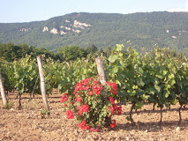 Domaine Jean-Christophe Pellerin Domaine Jean-Christophe Pellerin
